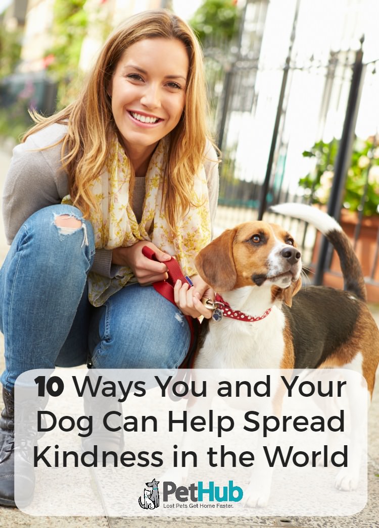 10 Ways You and Your Dog Can Help Spread Kindness | PetHub