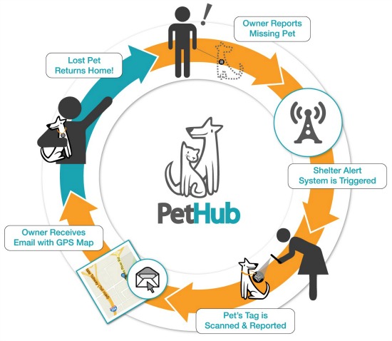 PetHub inforgraphic showing process of returning lost pet home